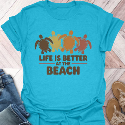 Fall Turtle Shell Beach Life