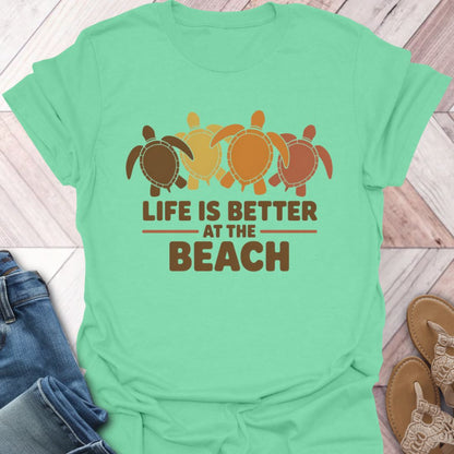 Fall Turtle Shell Beach Life