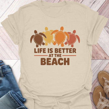 Fall Turtle Shell Beach Life